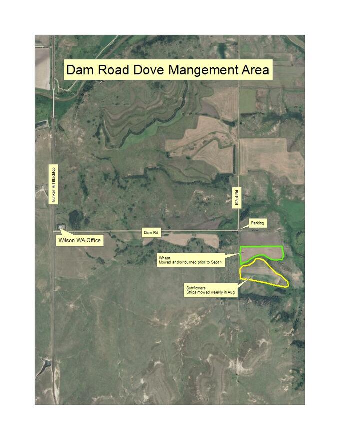 Dam Road Dove Management Area