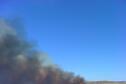 Prescribed Burns - Wilson Wildlife Area