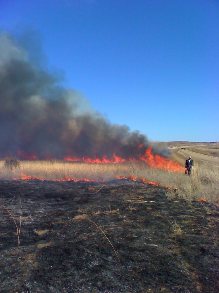 Prescribed Burns - Wilson Wildlife Area