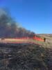 Prescribed Burns - Wilson Wildlife Area