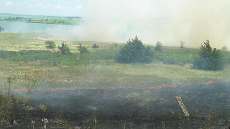 Prescribed Summer Burn - Wilson Wildlife Area - 16 July 2010