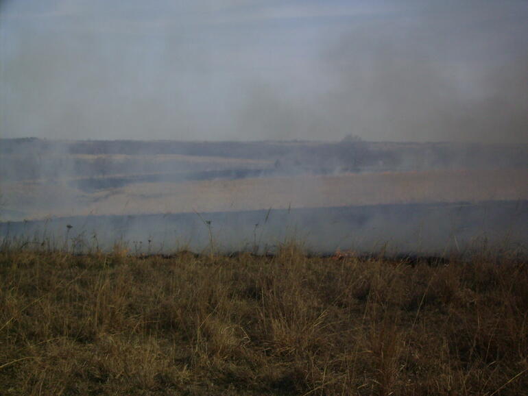 2010 Spring Burn