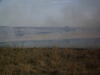 2010 Spring Burn