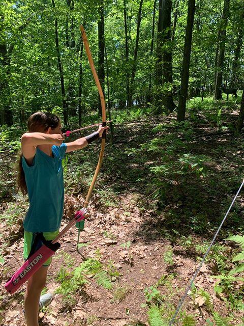 3d archery