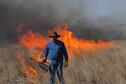 cedar burning