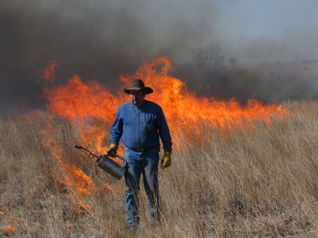 cedar burning