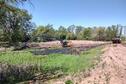 CRP Pond 5/1 dig out