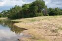 East Oxbow marsh veg growing