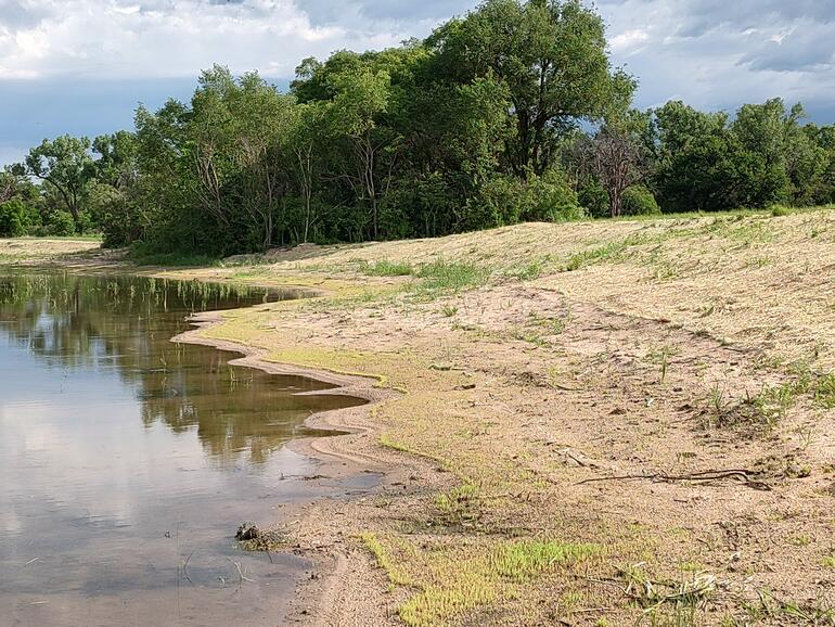 East Oxbow marsh veg growing