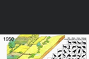 habitat simplification