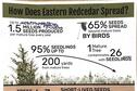 habitat visual