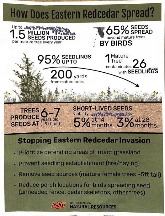 habitat visual