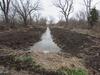 Inlet canal S of Little Marsh