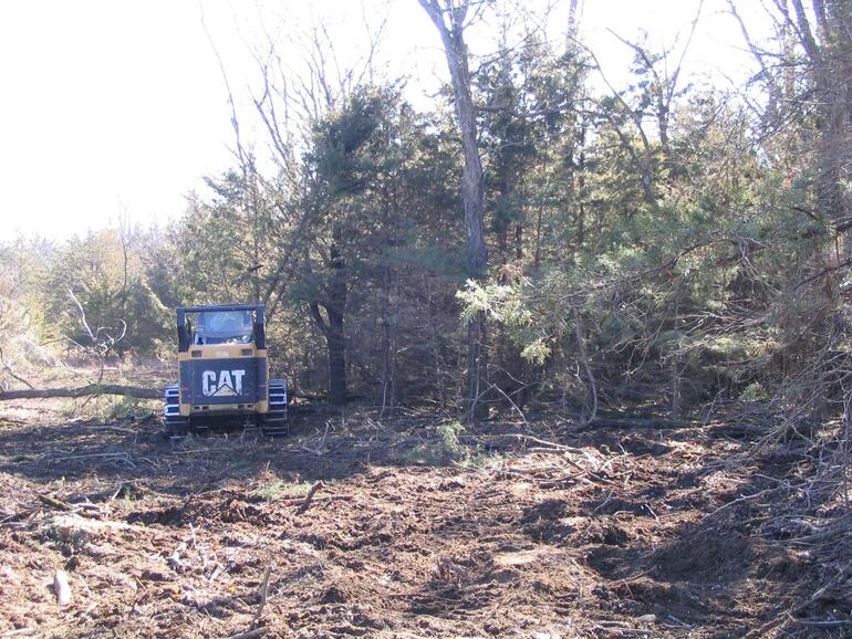 mechanical tree removal
