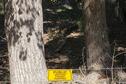 Signage