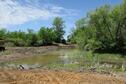 Spring Pond 2