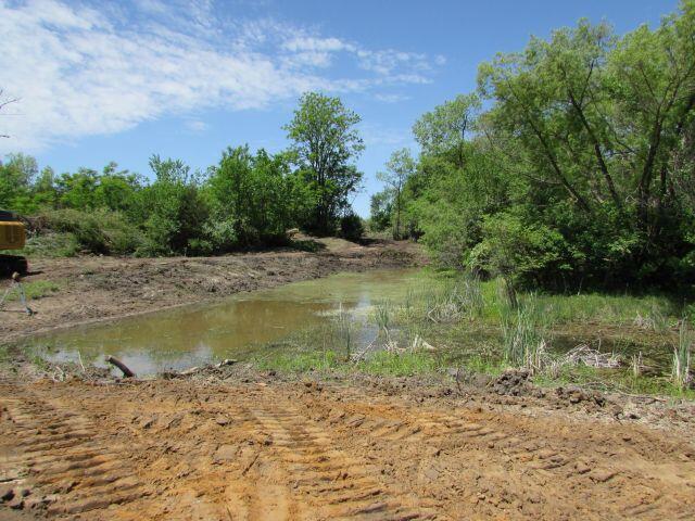 Spring Pond 2