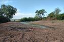 Spring Pond 5/14 - Post construction (2)