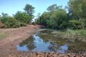 Spring Pond 5/14 - Post construction