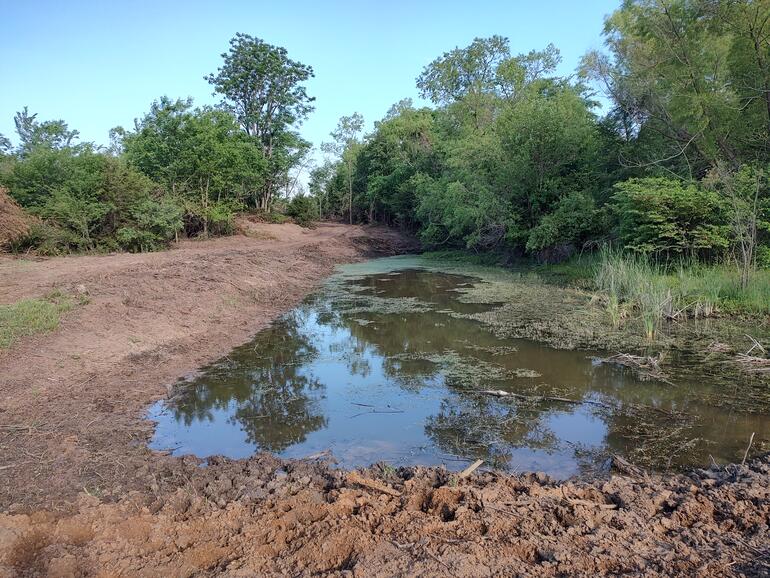 Spring Pond 5/14 - Post construction