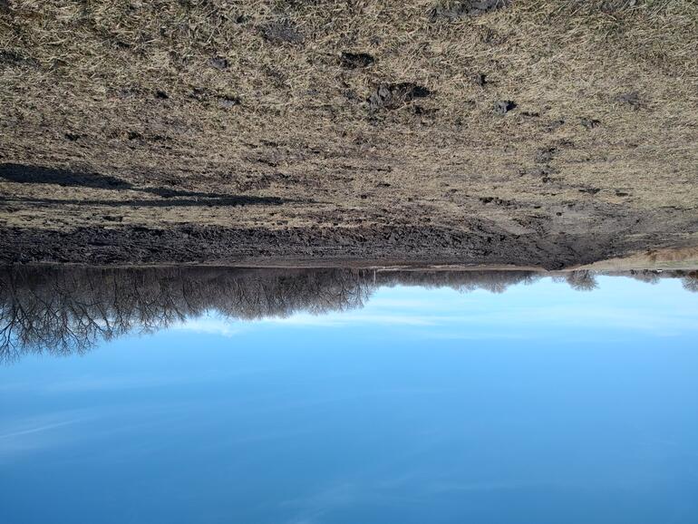 Youth marsh pause point