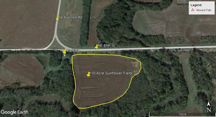 2021 El Dorado Wildlife Area Dove Fields - Cole Creek Sunflower Field