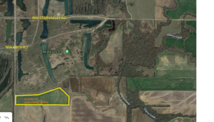 Mined Land Wildlife Area 2021 Dove Field 38-3