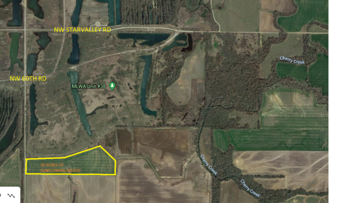 Mined Land Wildlife Area 2021 Dove Field 38-3