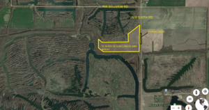 Mined Land Wildlife Area 2021 Dove Field - Number 33