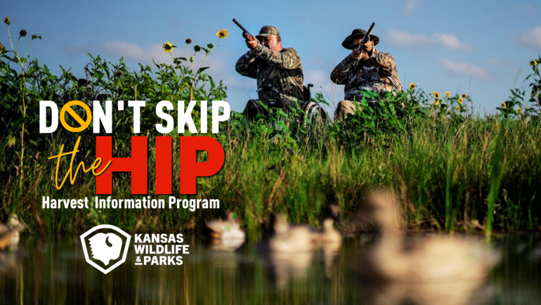 HIP Facebook Cover Hunter