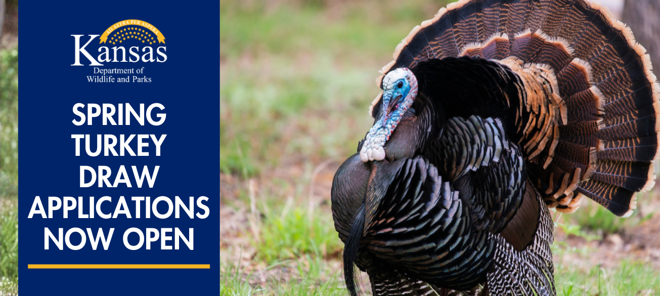Application Period for Nonresident and Unit 4 Resident Turkey Permits Opens Jan. 13