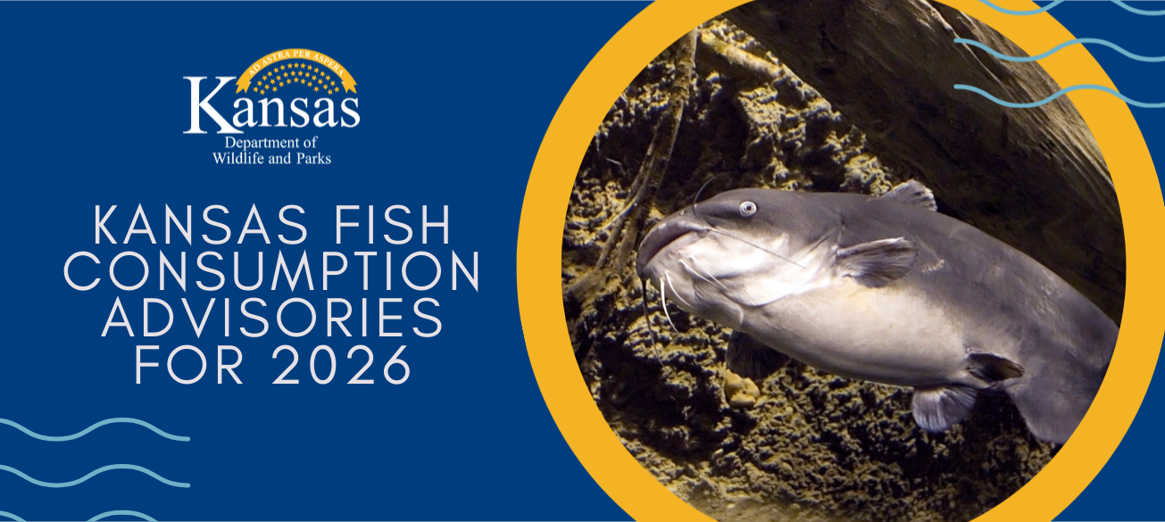 Kansas Fish Consumption Advisories for 2026