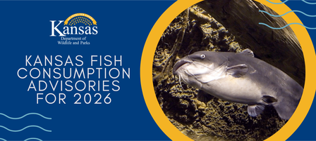 Kansas Fish Consumption Advisories for 2026