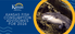Kansas Fish Consumption Advisories for 2026