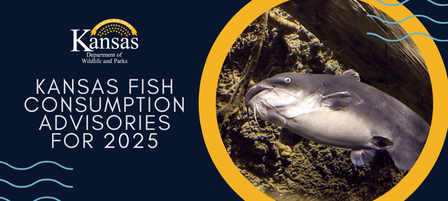 Kansas Fish Consumption Advisories for 2025