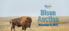 Public Invited to Bison Auction at Maxwell Wildlife Refuge on November 5