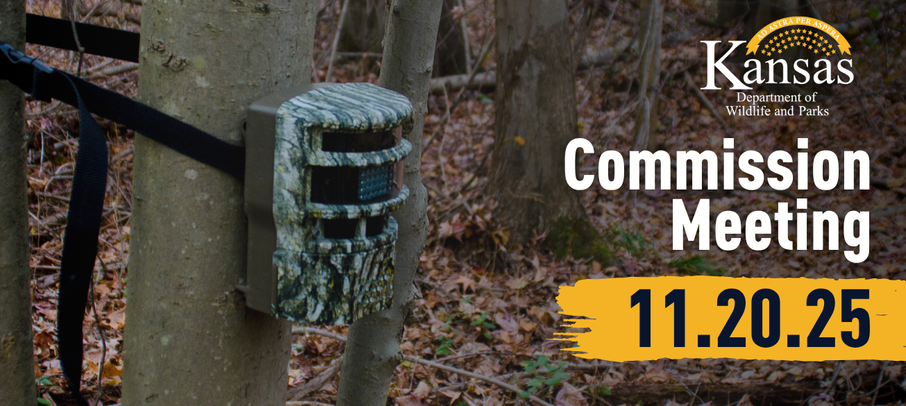 Kansas Department of Wildlife and Parks Seeks Input on Trail Cameras on Public Lands at Nov. 20 Commission Meeting