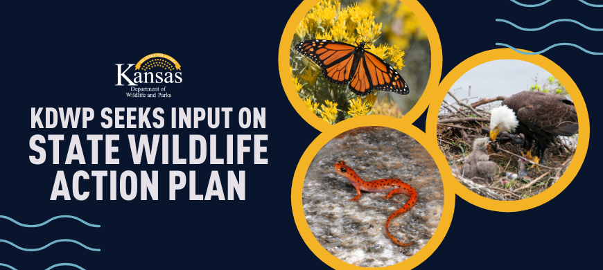 Kansas Department of Wildlife and Parks Seeks Input on State Wildlife Action Plan