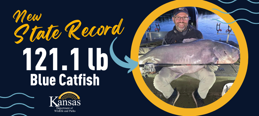 New Kansas Record for Blue Catfish Tops Previous by 18.3 Pounds