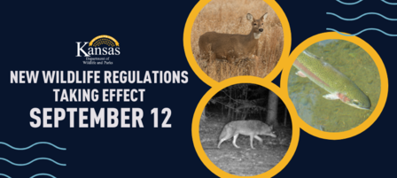 New Wildlife Regulations Taking Effect September 12 New Wildlife Regulations Taking Effect September 12
