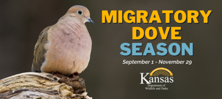 Kansas Department of Wildlife and Parks Dove Fields Offer Public Hunting Opportunities Kansas Department of Wildlife and Parks Dove Fields Offer Public Hunting Opportunities