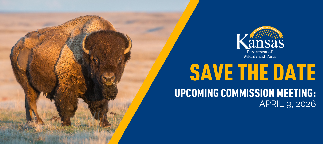 Save the Dates - Upcoming Commission Meetings