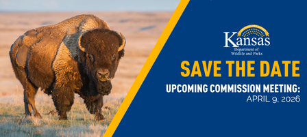 Save the Date: Upcoming Commission Meeting April 9, 2026