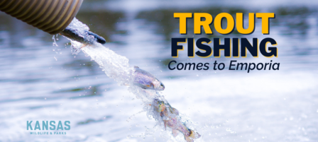 Emporia State’s King Lake Stocked with Rainbow Trout