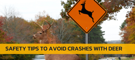 State Experts Offer Tips for Preventing Deer-vehicle Collisions State Experts Offer Tips for Preventing Deer-vehicle Collisions