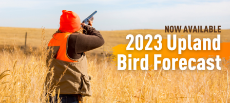 2023 Kansas Upland Bird Hunting Forecast Now Available 2023 Kansas Upland Bird Hunting Forecast Now Available