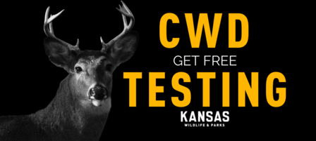 KDWP To Again Offer Free Testing for Chronic Wasting Disease KDWP To Again Offer Free Testing for Chronic Wasting Disease