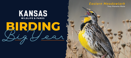 2023 Kansas Birding Big Year Results, 2024 Contest 2023 Kansas Birding Big Year Results, 2024 Contest