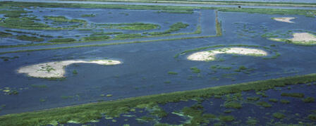 CHEYENNE BOTTOMS WETLANDERS FESTIVAL APRIL 15-17 CHEYENNE BOTTOMS WETLANDERS FESTIVAL APRIL 15-17