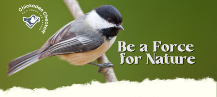 Support Kansas Wildlife by Donating a Portion of Your Tax Return